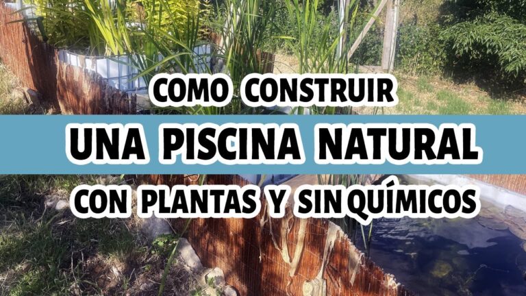 Aislamiento Orgánico: La Clave para Hogares Sostenibles