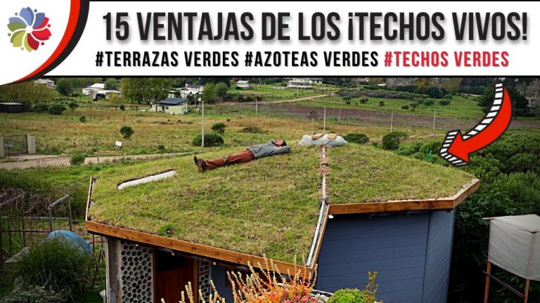 Beneficios del Aislamiento en Techos Verdes