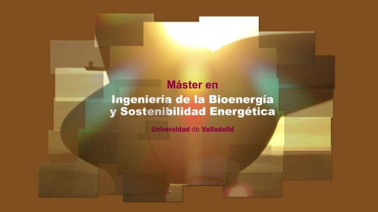 Biomasa: Clave para la Sostenibilidad Energética