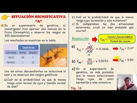 Propiedades de la Lana de Roca en la Lucha Contra la Contaminación