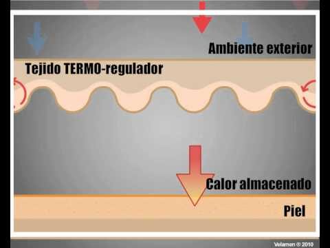 Beneficios de Mantener la Temperatura Adecuada