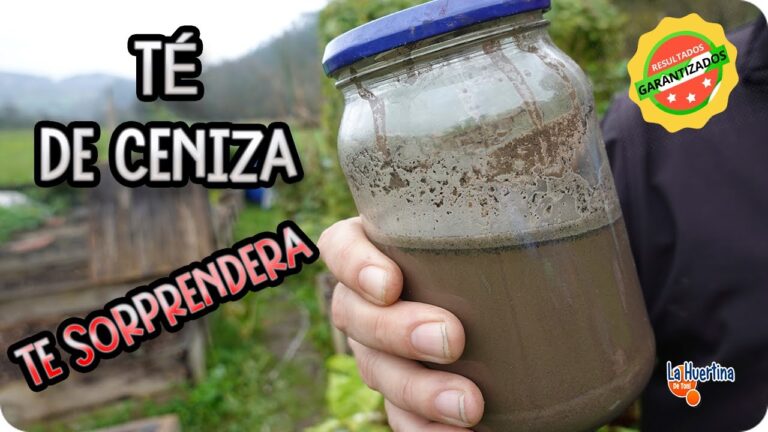 Lana de Roca: Solución Natural Efectiva contra Plagas