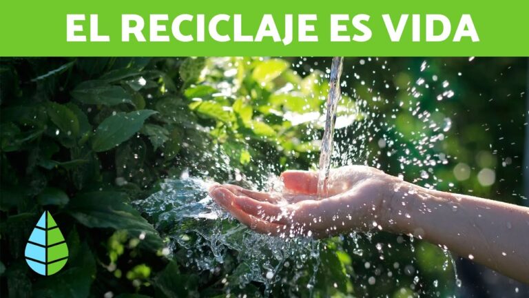Beneficios Ambientales de la Reutilización de Materiales