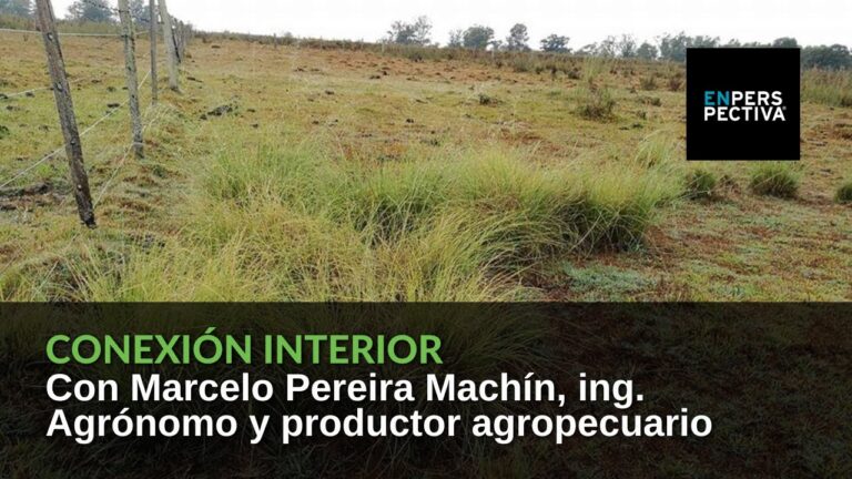 Beneficios de un Ambiente Silencioso para la Salud