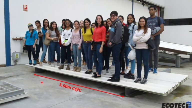 EPS: Material Aislante Eficiente en Estructuras Livianas