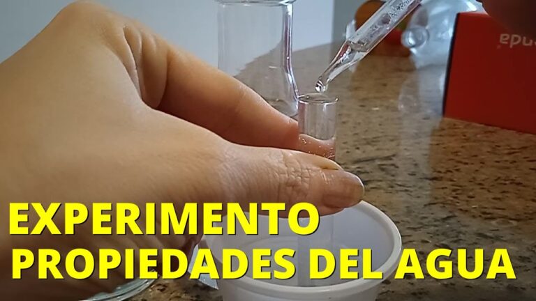 Usos Innovadores de la Lana Mineral en Aislamiento Eficiente