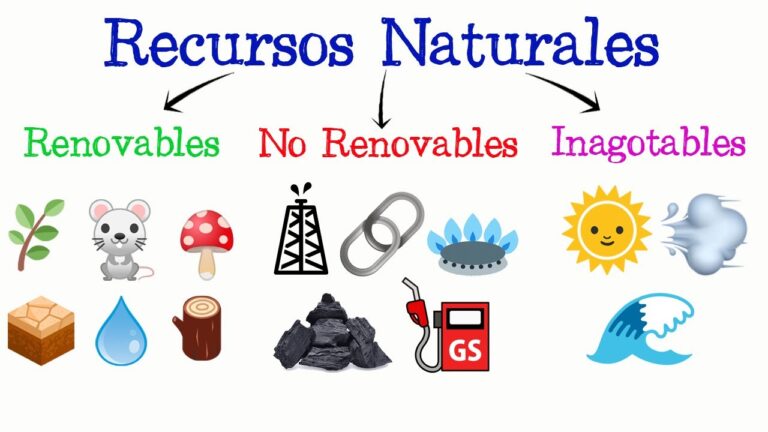 Comparativa de Materiales Biodegradables: Aspectos Ambientales Clave