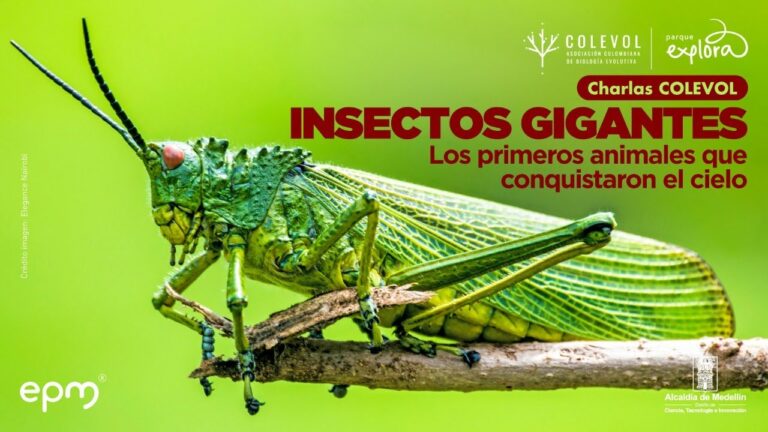 Mejorando la Concentración en Entornos Silenciosos